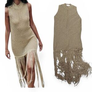 Zara NEW Long Knit Top With Fringe and Metallic Thread BLOGGER FAVE Size Medium